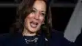 Kamala Harris Wants Families to Pay Lower Taxes Than Childless Cat Ladies | National Review